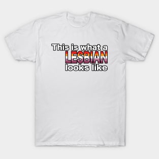 This is what a LESBIAN looks like T-Shirt